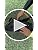 Storelli BodyShield Goalkeeper Sliders 2.0 Adult Medium Black Padded Soccer Shorts with Cup Pocket