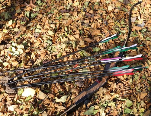 Carbon Hunting Arrows - 31" Archery Target Practice with 5" Turkey Feathers | Spine 500, Pack of 12