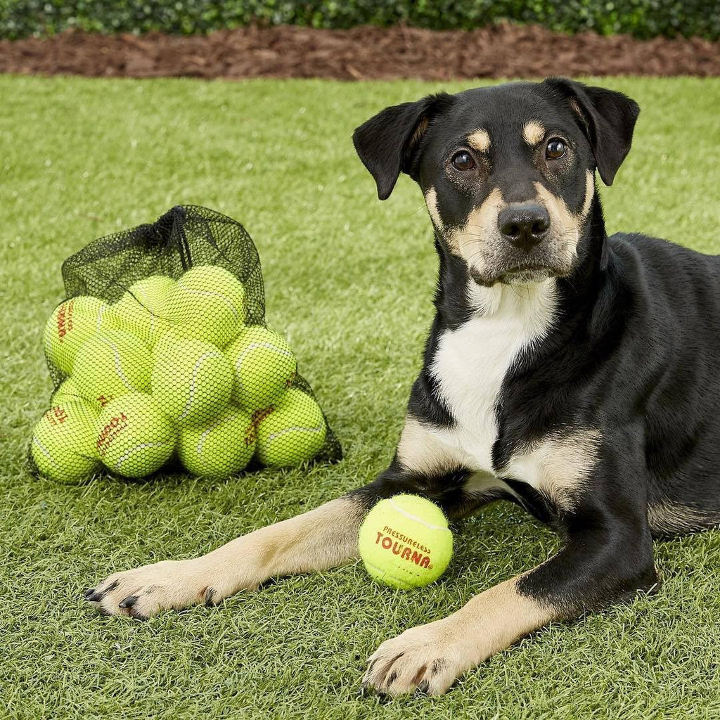 Tourna Tennis Ball Mesh Carry Bag - Holds 18 Balls | Durable & Lightweight Design