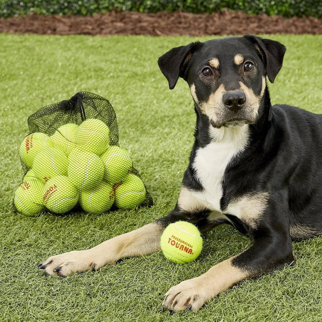 Tourna Tennis Ball Mesh Carry Bag - Holds 18 Balls | Durable & Lightweight Design