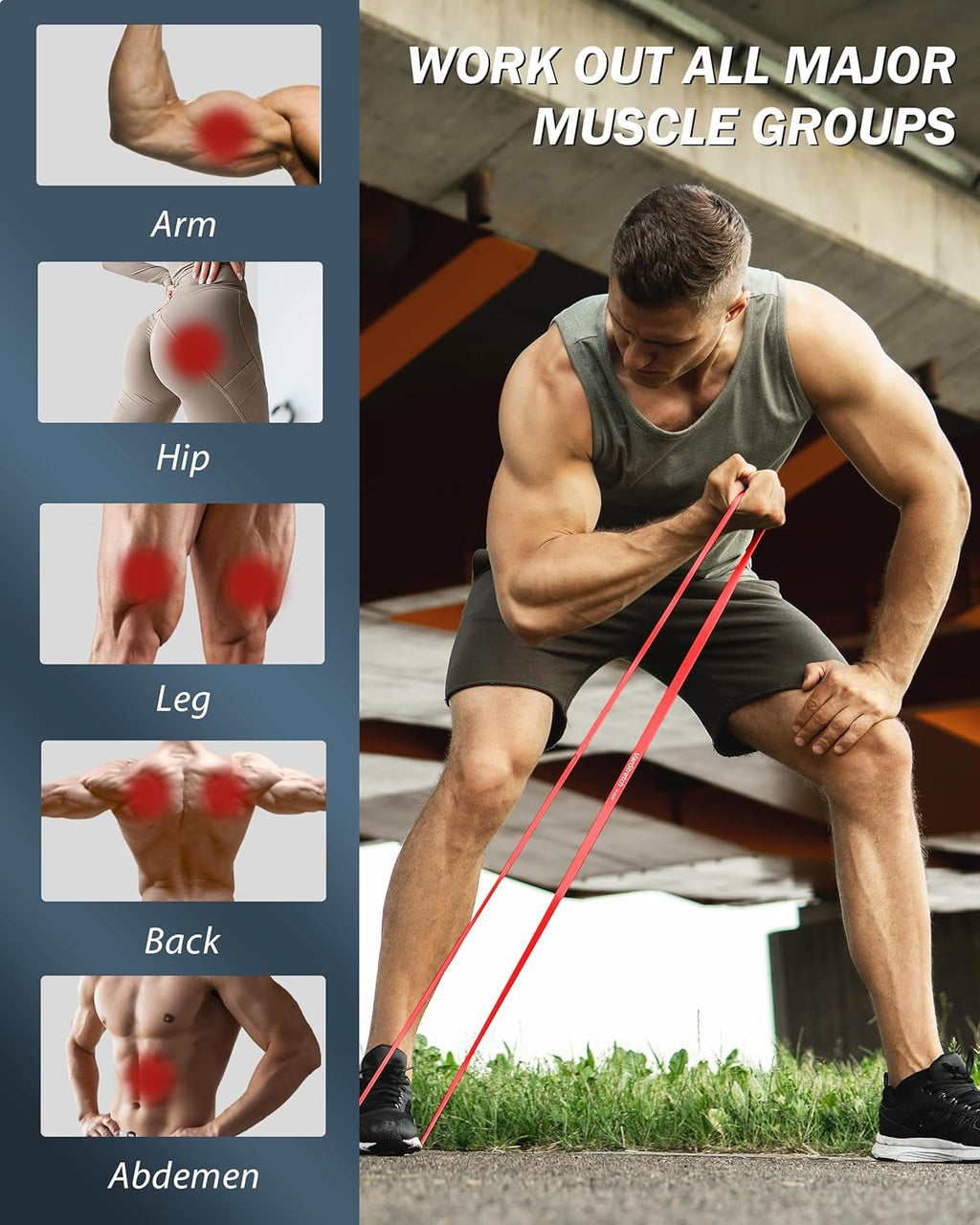 Skiennix Resistance Bands - 5-Level Elastic Pull-Up Assistance Set for Home Workouts & Fitness Training