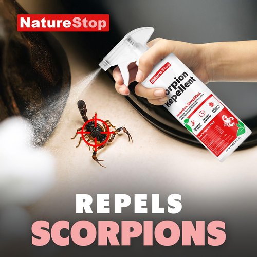 NatureStop Scorpion Repellent Spray, Scorpion Spray for Indoor & Outdoor Use, 16 oz (475mL)