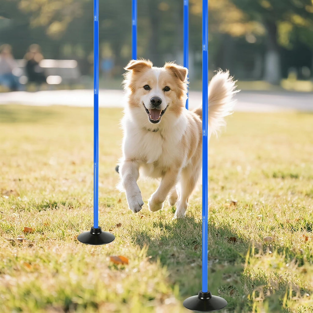 Skiennix 4 Pack Soccer Agility Training Poles - 5 FT Adjustable Speed Equipment for Football & Dog Practice