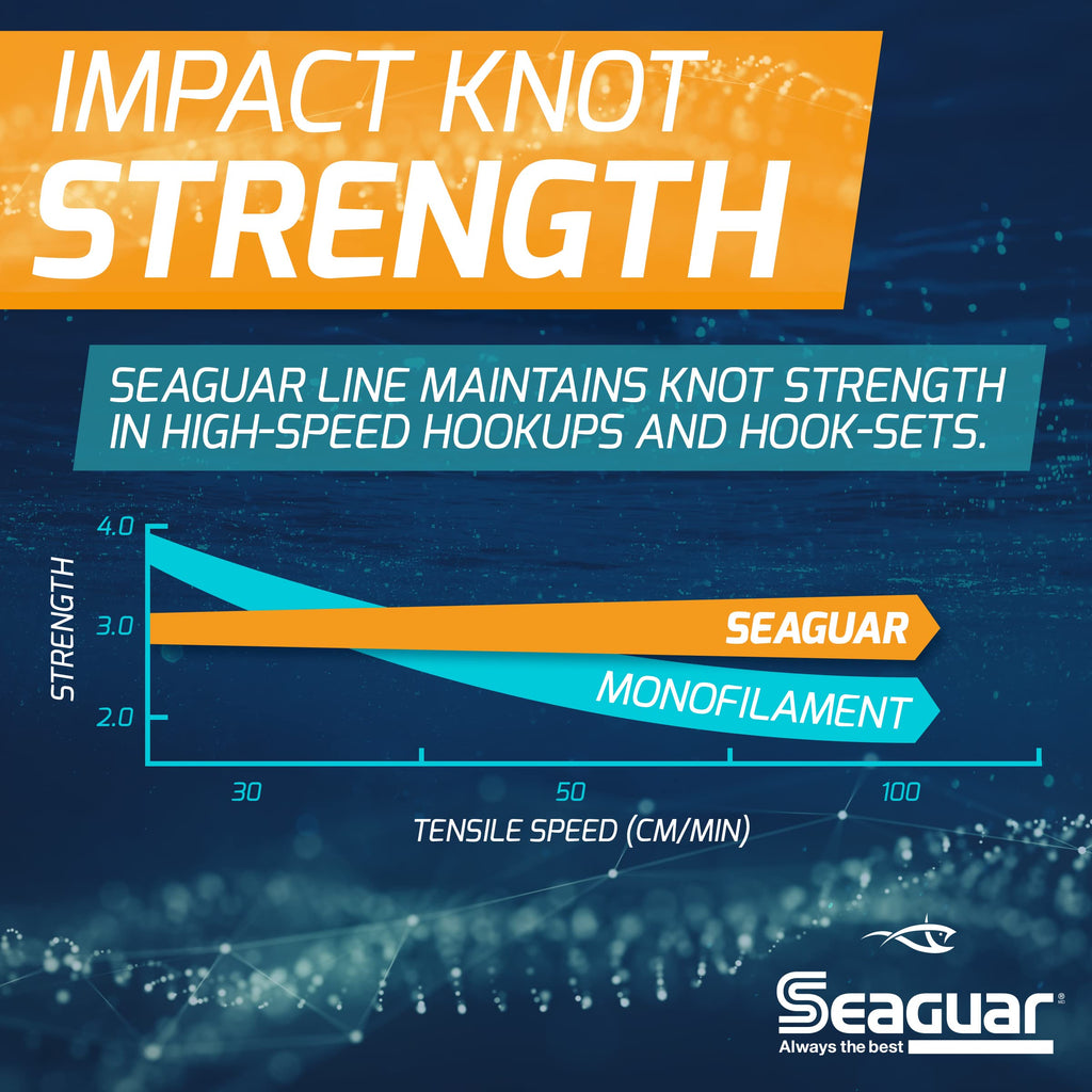 Seaguar Blue Label 100% Flourocarbon Fishing Line Leader, 25lbs, 50yds Break Strength/Length - 25FC50