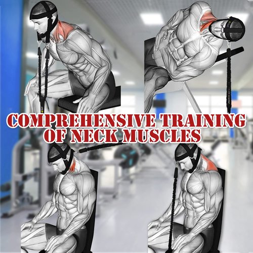 J Bryant Neck Harness Head - Weight Lifting with Resistance Bands - Adjustable Length Neck Training Strap with Door Anchor Neck Strength Training Equipment