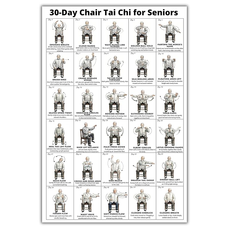 Chair Tai Chi Workout Chart for Seniors – Seated Exercises Canvas Wall Art (A) 24" x 16"