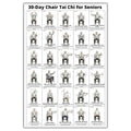 Chair Tai Chi Workout Chart for Seniors – Seated Exercises Canvas Wall Art (A) 24" x 16"