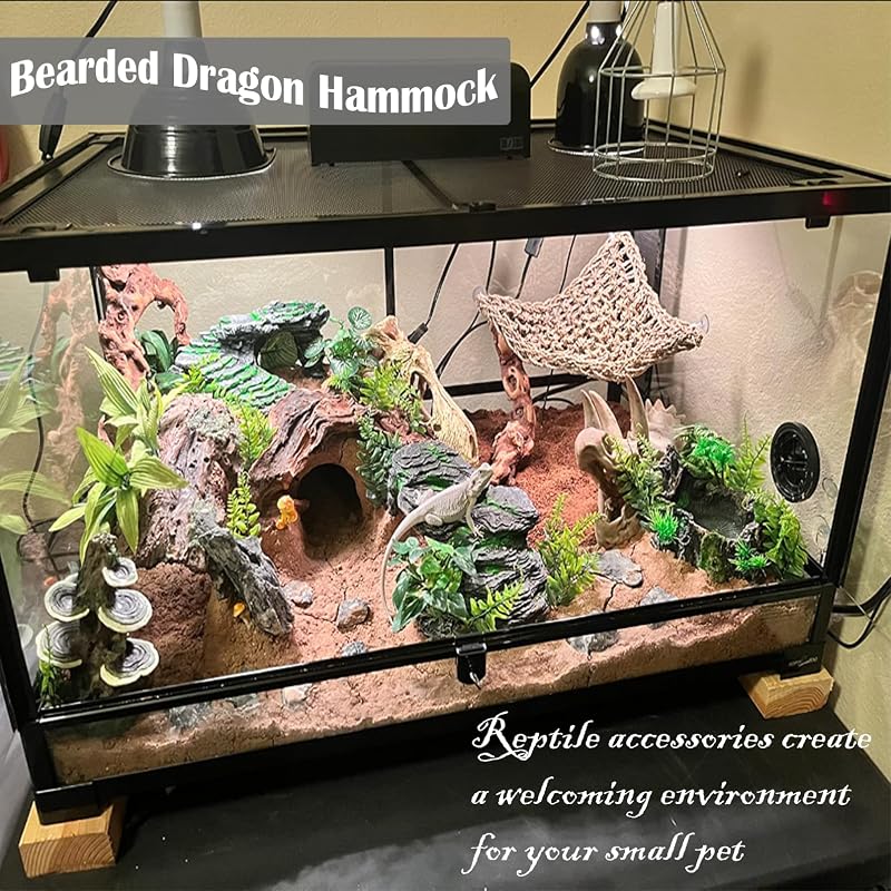 Triangular & Square Bearded Dragon Hammock Set with Reptile Vines – 5 PCS