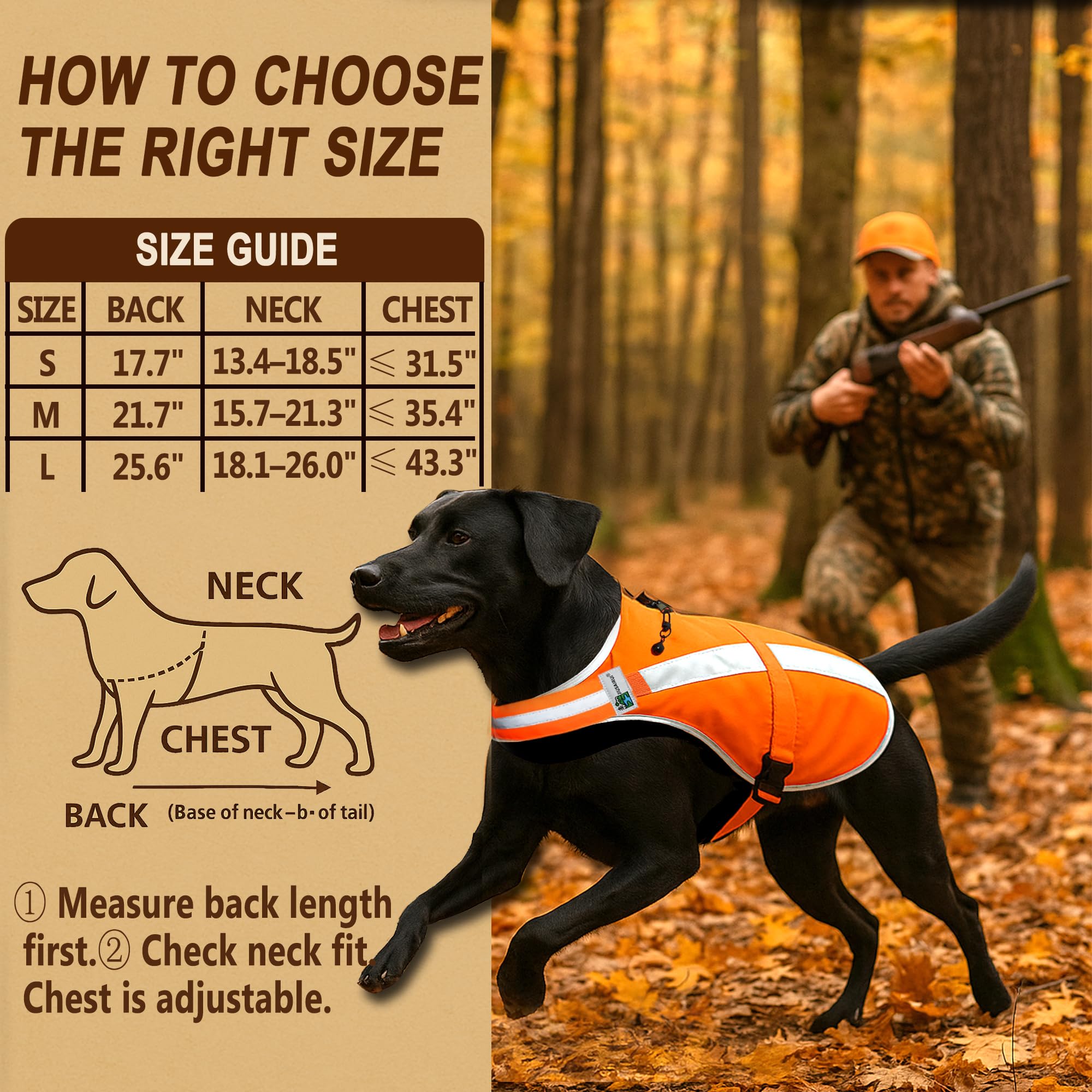 Reflective Dog Hunting Vest – Blaze Orange Safety Vest with Removable Bell, Waterproof and Lightweight (M)