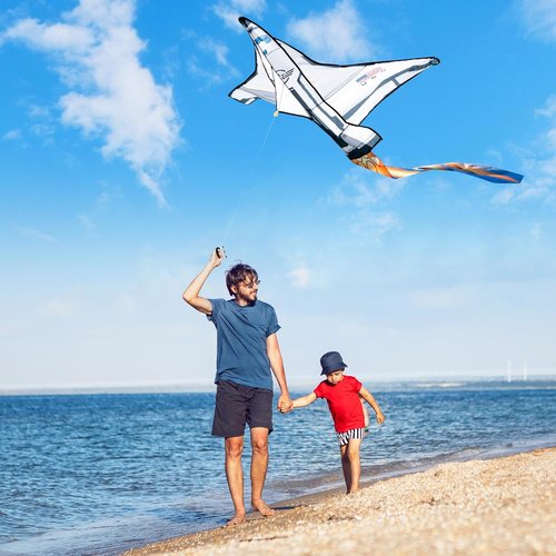 JOYIN Easy-To-Fly Kite - Large Beach Kite for Kids & Adults | Perfect for Outdoor Fun