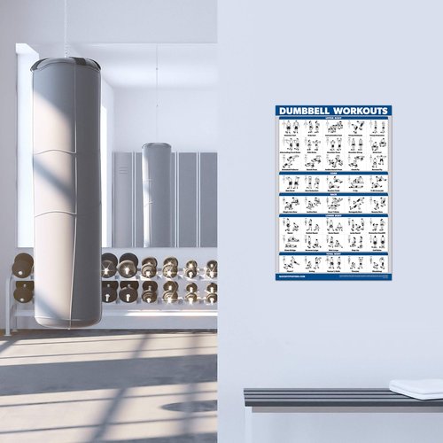 Palace Learning 4 Pack - Dumbbell + Bodyweight + Kettlebell Workouts - Sliding Bench - Set of 4 Laminated Charts (18'' x 24'')