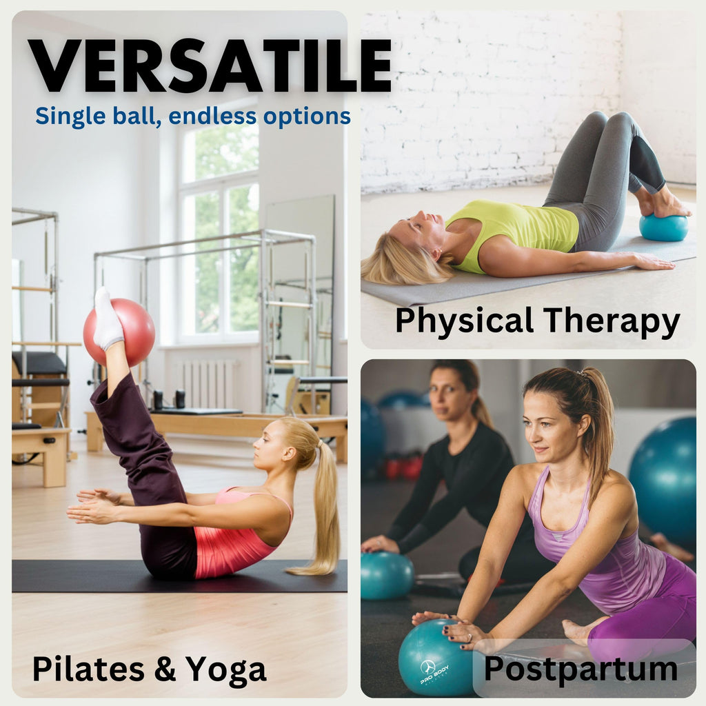 ProBody Pilates Ball 9 Inch - Small Exercise Ball for Stability, Barre, Core, Ab Workouts, Yoga, & Physical Therapy (Indigo)