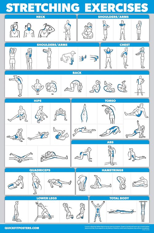 Palace Learning QuickFit 3 Pack, Dumbbell Workouts + Bodyweight Exercises + Stretching Routine Poster Set - Set of 3 Workout Charts (Laminated, 18" x 24")