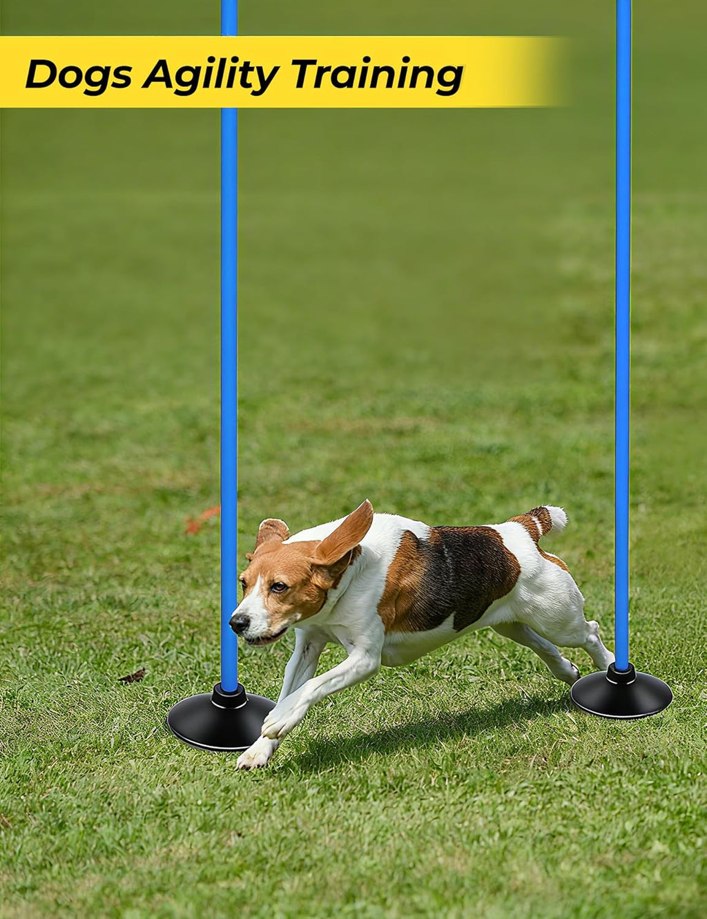 SEAOTTER Soccer Agility Poles Set - 6ft Detachable Speed Poles with Rubber Base | 4/6/10 Pcs for Training