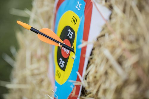 Bear Archery Youth Safety Glass Arrows - Durable Fiberglass Design with Pre-Fletched Vanes & Nocks Included