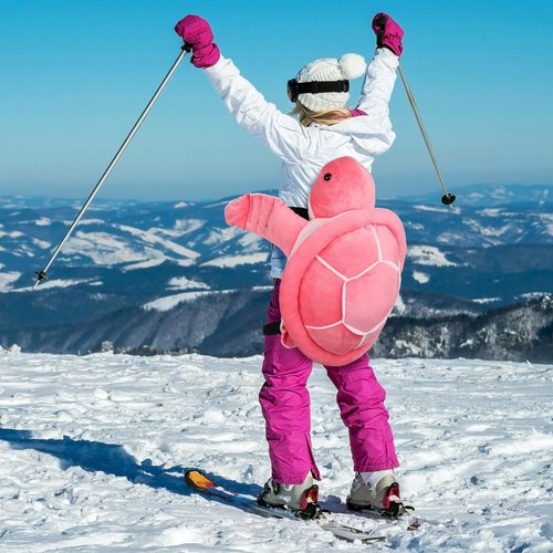Hungdao Protective Gear Cute Turtle Butt Pads for Skating Tortoise Tailbone Protector Padded Turtle Snowboarding Pad 3D Hip Protectors for Adults Skiing Roller Protection(Pink)