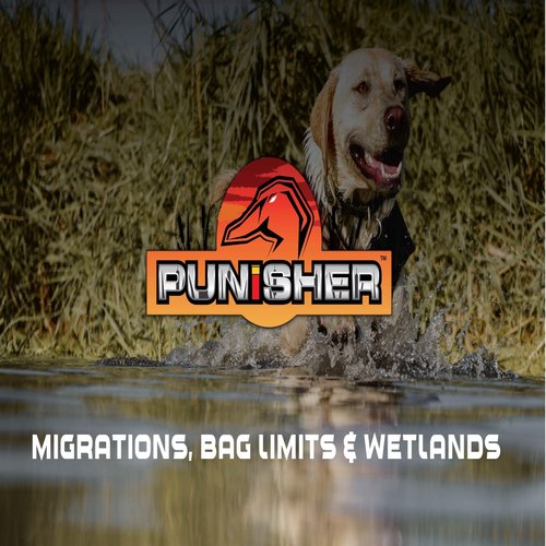 Allen Company Gear Fit Pursuit Waterfowl Shotgun Case - 52" Lockable Soft Gun Case with Adjustable Panel - Neoprene Pockets with Oversized Storage for Hunting Gearl - Realtree Max-7 Camo