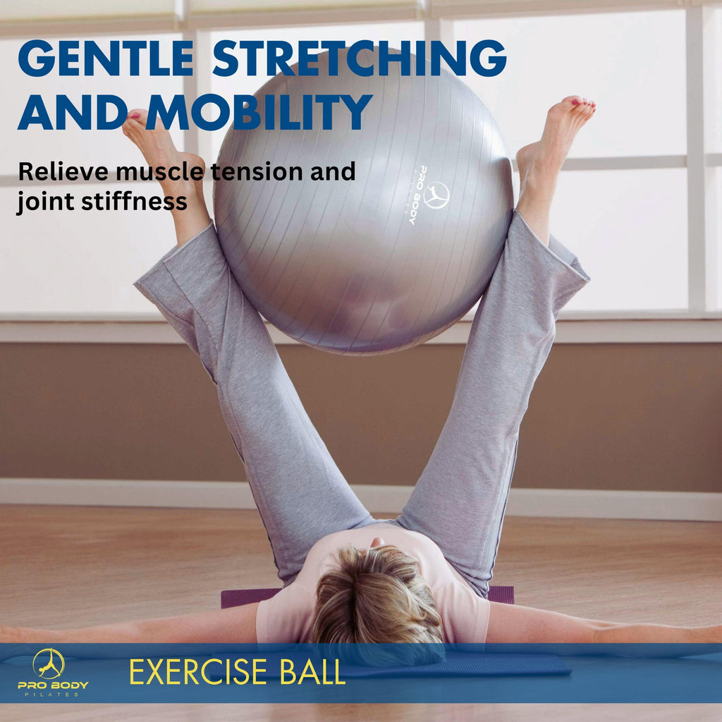 ProBody Pilates Exercise Ball - Multiple Sizes Gym Grade Balance Ball for Fitness, Workout, Pregnancy & Physical Therapy, Stability Yoga Ball Chair (Aqua, 75 cm)