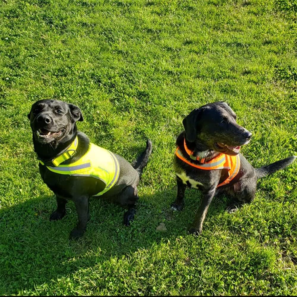SafetyPUP XD Lite Blaze Orange Reflective Dog Vest - High Visibility Hunting Gear for All Breeds