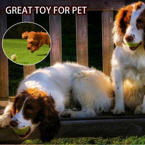 SHYUJAJIE Tennis Balls, 40 Pack Training Tennis Balls,High Elasticity Practice Tennis for Beginner, Exercise Playing Balls for Pet Dog (Multicolor)
