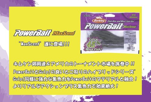 Berkley PowerBait MaxScent D-Worm | Premium Soft Plastic Fishing Lure | Versatile Color Options
