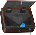 BILLCONCH Gun Safe for Handgun - Biometric Quick Access Pistol Safe with Fingerprint & Key | Antique Bronze