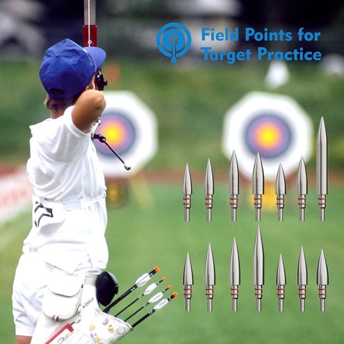 MOLFUZ Archery Field Points - 12pcs Stainless Steel Screw-In Tips for Recurve & Compound Bows | 100-300 Grain