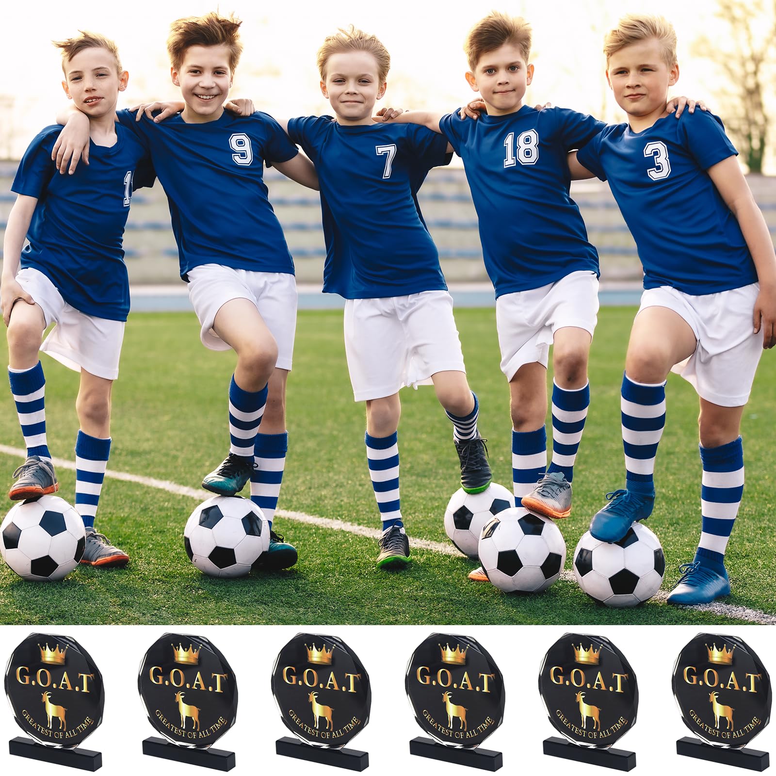 6 Pcs Goat Trophy Award Acrylic Award Greatest of All Time Funny Trophy Award Appreciation Gift for Boss, Coworker, Friend League Champion Award Winner Sports Award Appreciation Recognition Gift