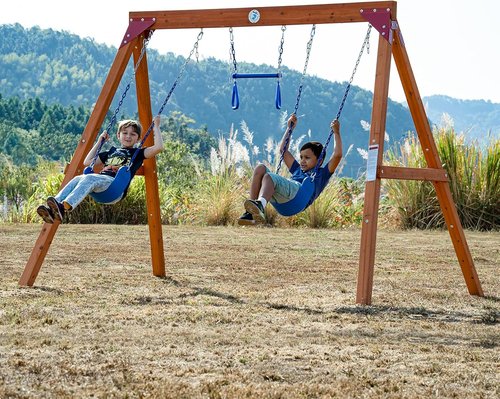 Dolphin Playground Wooden Swing Set - Outdoor DIY Swing for Kids with Trapeze Bar & 2 Belt Swings