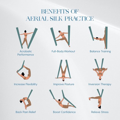 aum active Aerial Silks Yoga Swing Kit 11 Yards | Durable for Home Gymnastics Acrobatic Flying Yoga | Tricot Fabric with Hardware, Swivel & Guide(Rigging Point Up to 18ft)