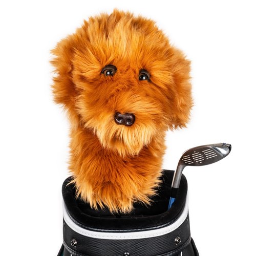 Daphne's Headcovers Doodle Driver Headcover | Premium Headcovers | Funny Golf Club Covers | Stylish Protection for Your Clubs | Men's Golf Gear | Headcover for Men and Women