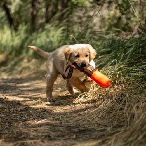 Carhartt Pet Training Tool, Dog Retrieving Bumper, Rugged Nylon Duck Canvas Training Bumper Designed for Retrieval Training, Hunter Orange, Small