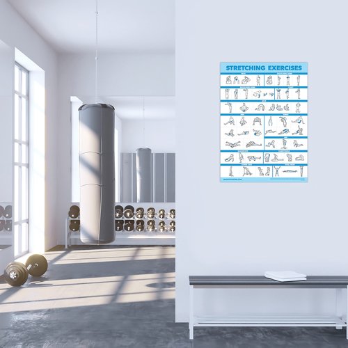 2 Pack Stretching Exercises and Sliding Bench Workout Poster Set - Compatible with Total Gym & Weider Ultimate Body Works [LIGHT] (LAMINATED, 18” x 24”)