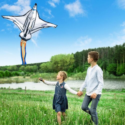 JOYIN Easy-To-Fly Kite - Large Beach Kite for Kids & Adults | Perfect for Outdoor Fun