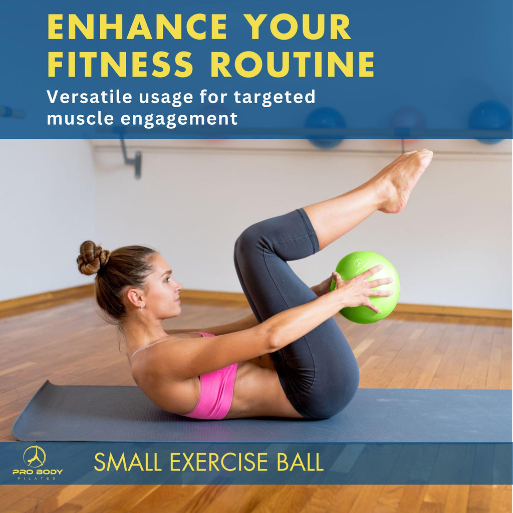 ProBody Pilates Ball 9 Inch - Small Exercise Ball for Stability, Barre, Core, Ab Workouts, Yoga, & Physical Therapy (Indigo)
