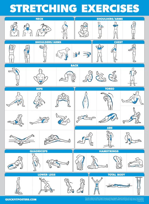 Palace Learning 4 Pack - Cable Machine Workout Posters Volume 1 & 2 + Stretching Exercises + Warm Up Exercises (LAMINATED, 18" x 24")