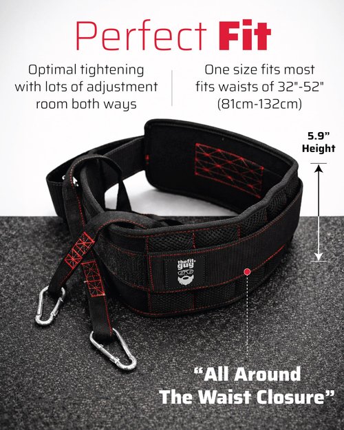 THEFITGUY Ultimate Dip Belt | Secure Closure - No Sliding Down | Structured Back Support | 45-Angle Rings - Comfort Dip Position | 40” Strap & 2 Snap Hooks - for Dips, Pull Ups, Squats, Weight Lifting