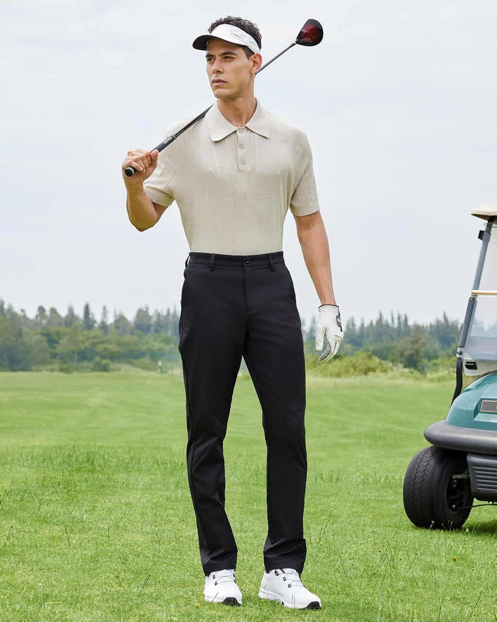 Regine Switzerland Men's Classic Fit Stretch Golf & Dress Pants - All-Day Comfort Trousers 30''/32''/34''
