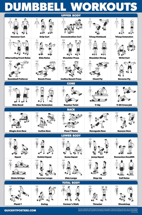 Palace Learning QuickFit 3 Pack, Dumbbell Workouts + Bodyweight Exercises + Stretching Routine Poster Set - Set of 3 Workout Charts (Laminated, 18" x 24")