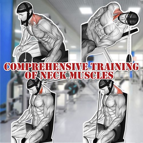 J Bryant Neck Harness Head Weight Lifting with Chain Adjustable Strap Neck Exercise Equipment