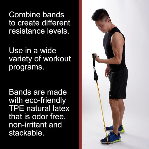 BodyForge Resistance Bands - Versatile Exercise Bands with Handles for Strength Training | Home Gym Equipment