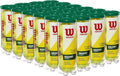 WILSON Championship Tennis Balls - High-Performance, Durable Design | Ideal for Competitive Play