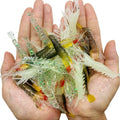 Mixed 30Pcs Luminous Shrimp Bait Soft Plastic Lures Kit 3.2in 1/8oz Fishing Tackle