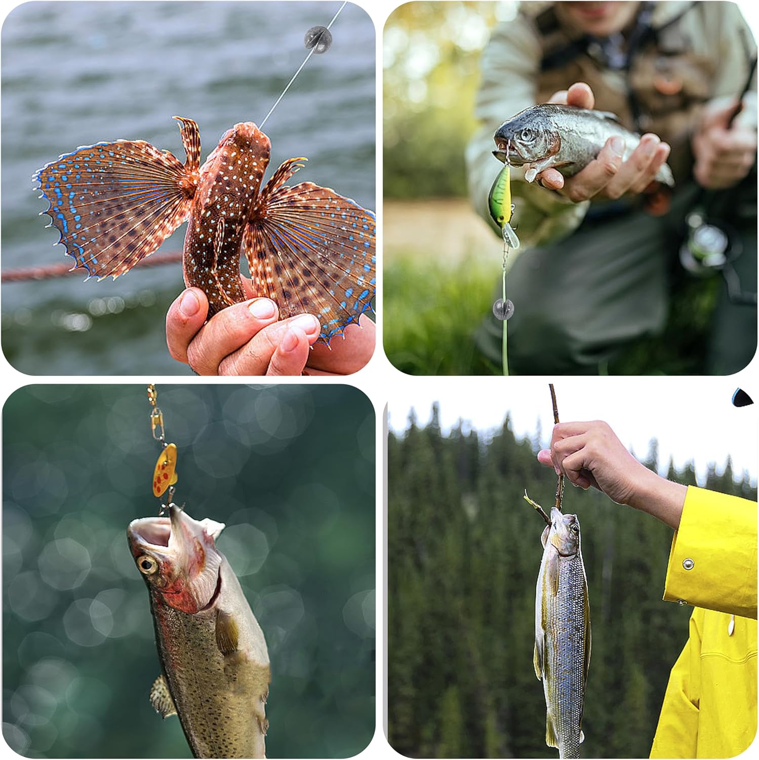 Split Shot Fishing Weights - Round Removable Sinkers for Fly & Bass Fishing | 6 Sizes Available