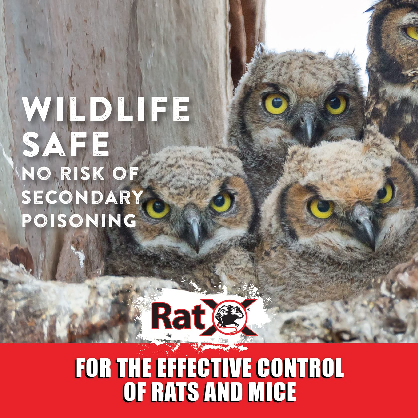 RatX All-Natural Humane Rat and Mouse 1 lb. Bag - EcoClear Products 620101