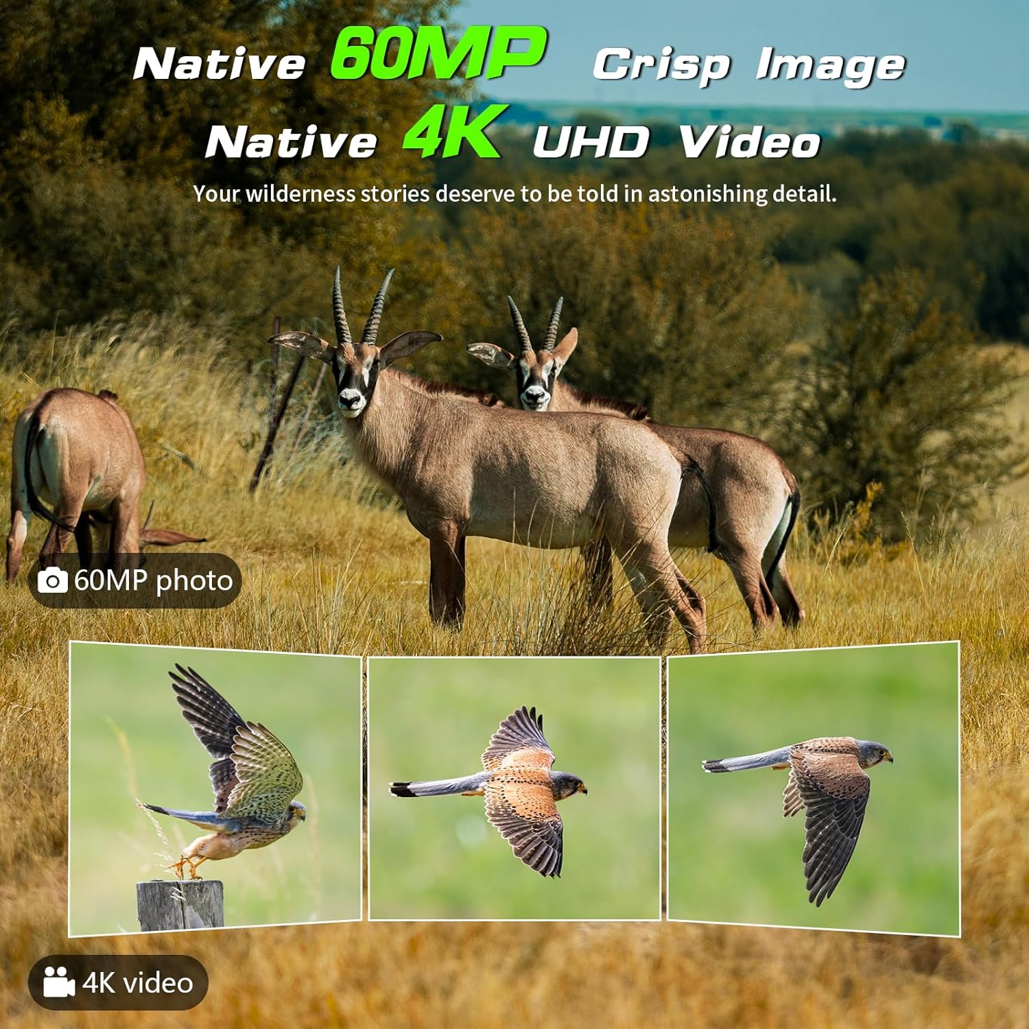 Trail Camera - Solar Powered 4K 60MP WiFi Game Camera with 0.1s Trigger & 7800mAh Battery | 65FT Detection, Night Vision, IP66 Waterproof, 32GB Card Included