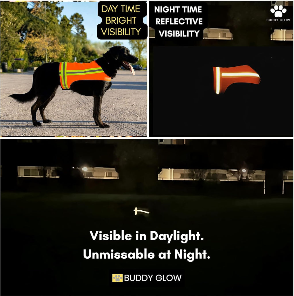 Skiennix Reflective Dog Vest - Hi-Visibility Blaze Orange Safety Vest, Adjustable & Lightweight for Outdoor Use | Water Resistant (Medium)
