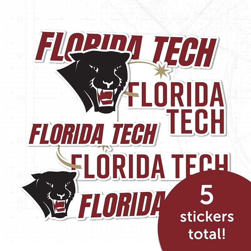 Officially Licensed Florida Tech Panthers Sticker Sheet - Desert Cactus