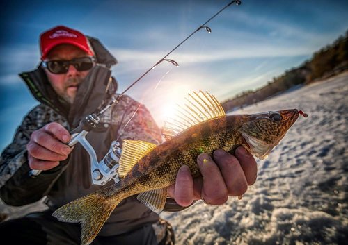 Berkley Trilene 100% Fluorocarbon Ice Fishing Line - Superior Strength & Sensitivity | 100 Yards