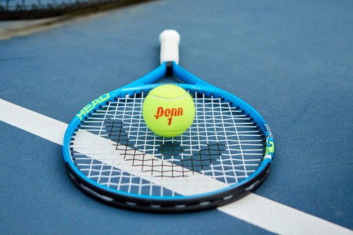 Penn Championship Tennis Balls - Regular Duty Felt Pressurized Tennis Balls - 12 Cans, 36 Balls
